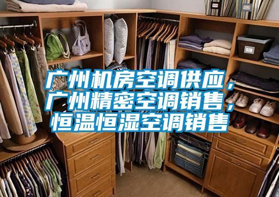 廣州機(jī)房空調(diào)供應(yīng),廣州精密空調(diào)銷售,恒溫恒濕空調(diào)銷售