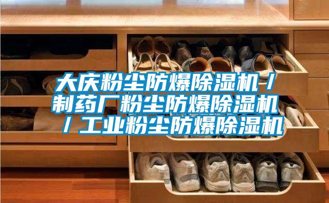 大慶粉塵防爆除濕機/制藥廠粉塵防爆除濕機/工業粉塵防爆除濕機