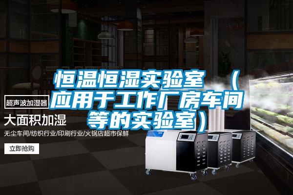 恒溫恒濕實驗室 (應用于工作廠房車間等的實驗室)