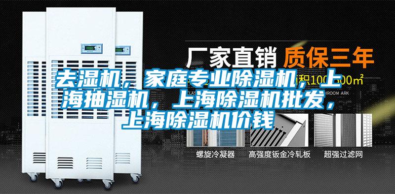 去濕機,家庭專業除濕機,上海抽濕機,上海除濕機批發,上海除濕機價錢