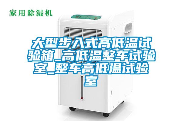 大型步入式高低溫試驗(yàn)箱_高低溫整車(chē)試驗(yàn)室_整車(chē)高低溫試驗(yàn)室
