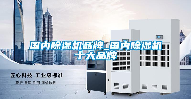國內(nèi)除濕機(jī)品牌_國內(nèi)除濕機(jī)十大品牌