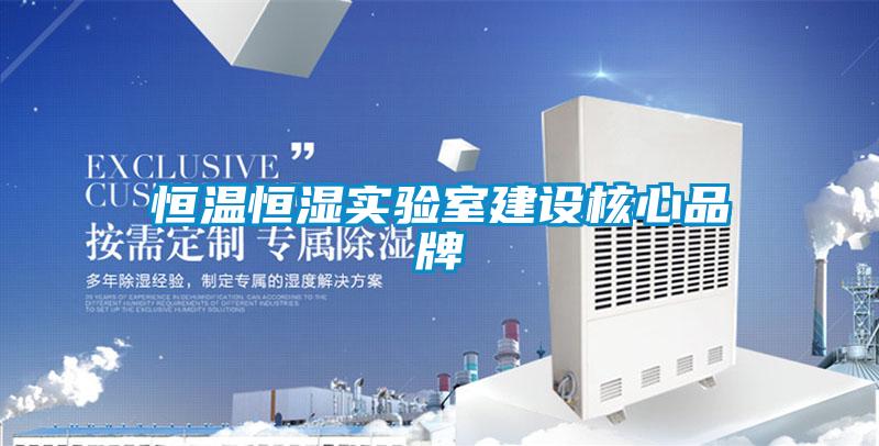 恒溫恒濕實驗室建設核心品牌