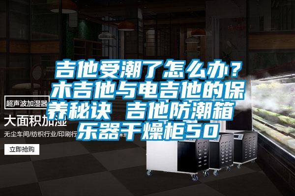吉他受潮了怎么辦?木吉他與電吉他的保養秘訣 吉他防潮箱 樂器干燥柜50