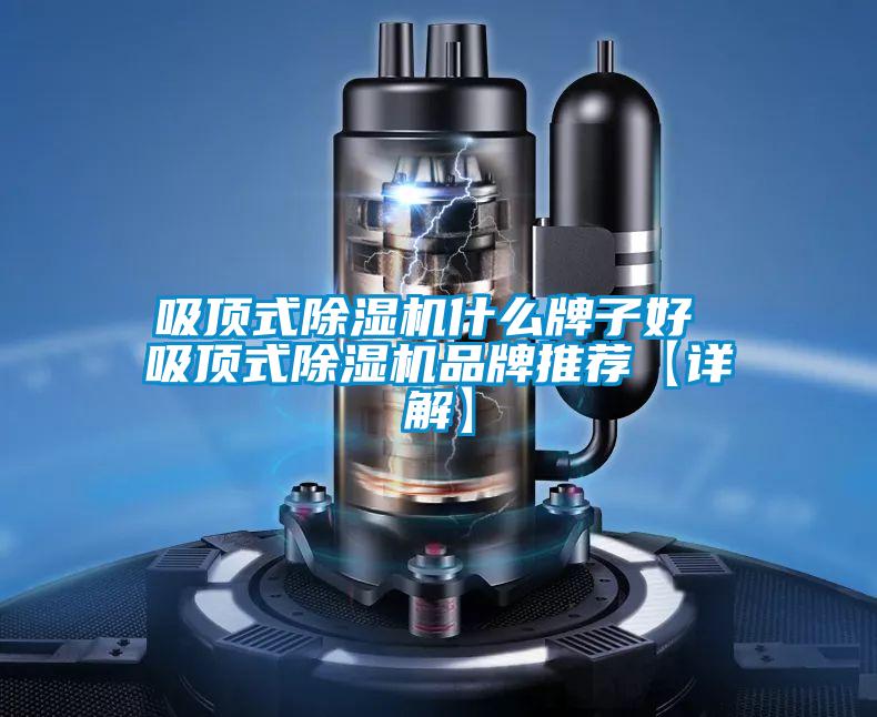 吸頂式除濕機什么牌子好 吸頂式除濕機品牌推薦【詳解】
