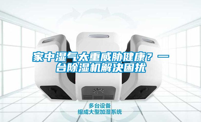 家中濕氣太重威脅健康?一臺除濕機解決困擾