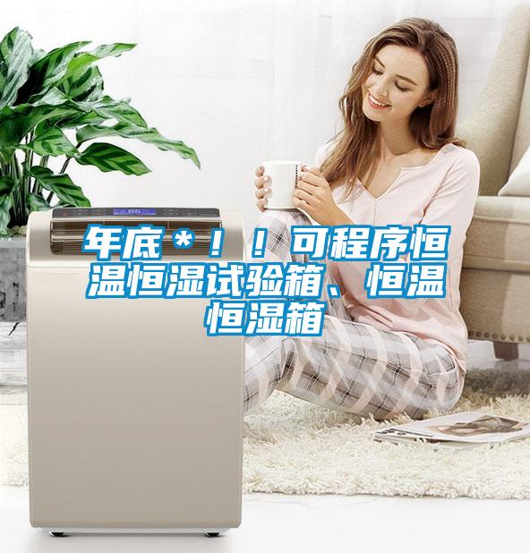 年底*!!可程序恒溫恒濕試驗箱、恒溫恒濕箱