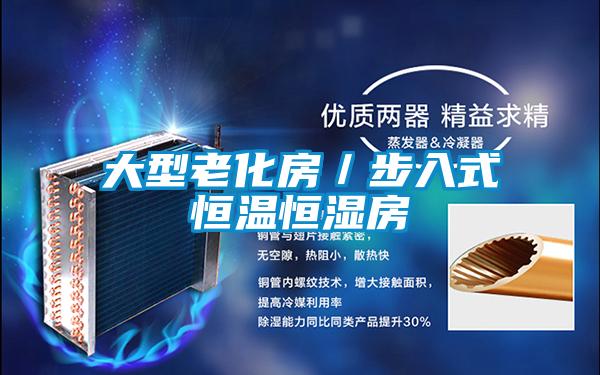 大型老化房/步入式恒溫恒濕房