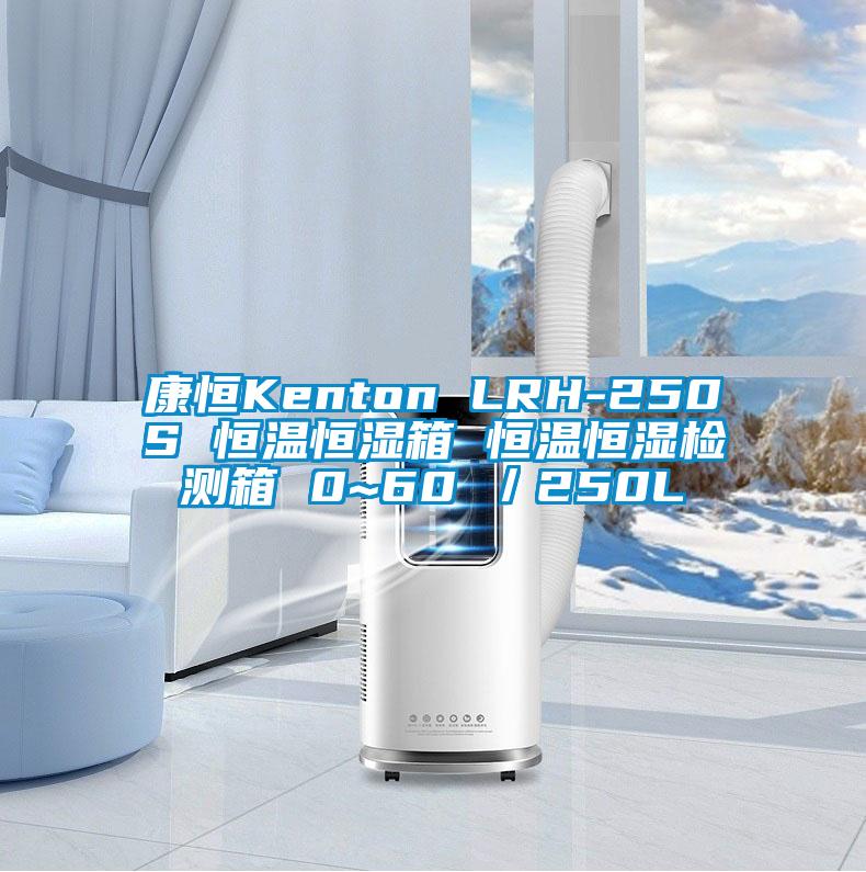 康恒Kenton LRH-250S 恒溫恒濕箱 恒溫恒濕檢測箱 0~60℃/250L