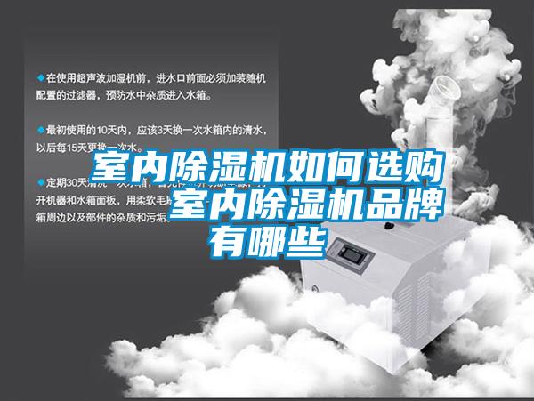 室內除濕機如何選購 室內除濕機品牌有哪些