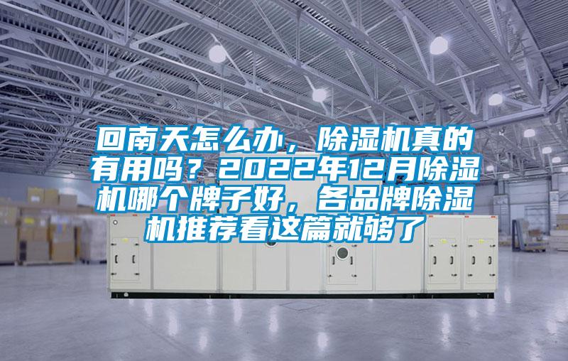 回南天怎么辦，除濕機真的有用嗎？2022年12月除濕機哪個牌子好，各品牌除濕機推薦看這篇就夠了