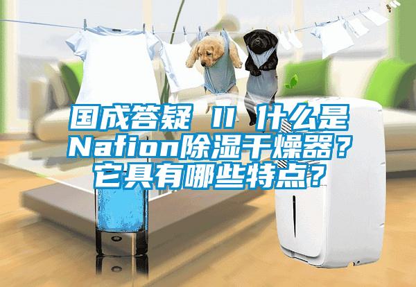 國成答疑 II 什么是Nafion除濕干燥器?它具有哪些特點?