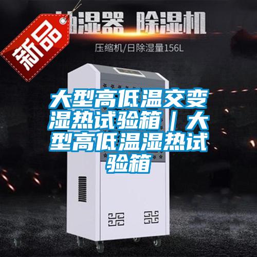 大型高低溫交變濕熱試驗(yàn)箱|大型高低溫濕熱試驗(yàn)箱