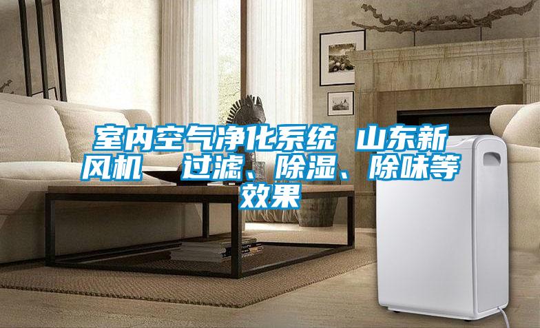 室內空氣凈化系統 山東新風機  過濾、除濕、除味等效果