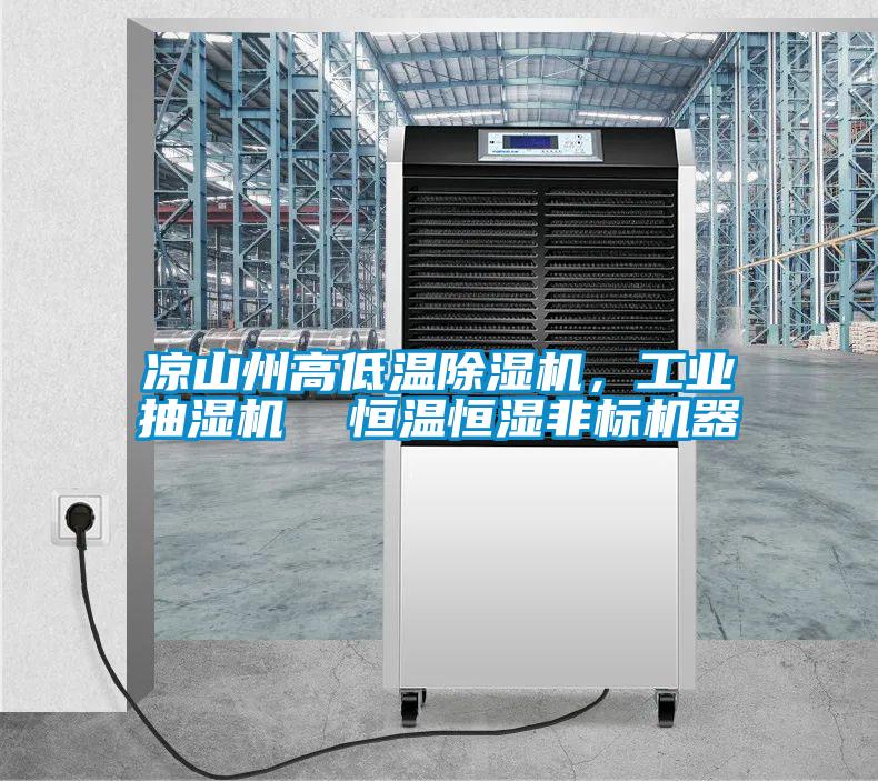 涼山州高低溫除濕機，工業抽濕機  恒溫恒濕非標機器