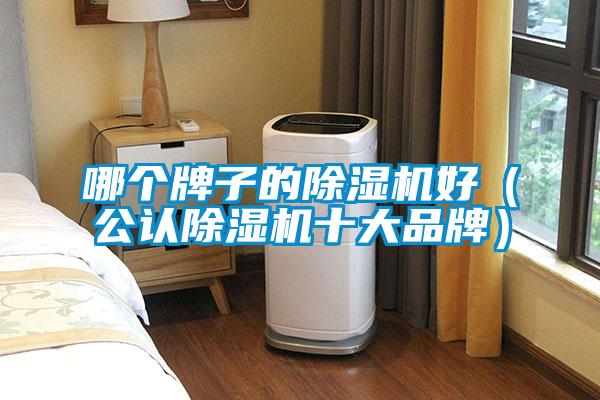 哪個牌子的除濕機好(公認除濕機十大品牌)