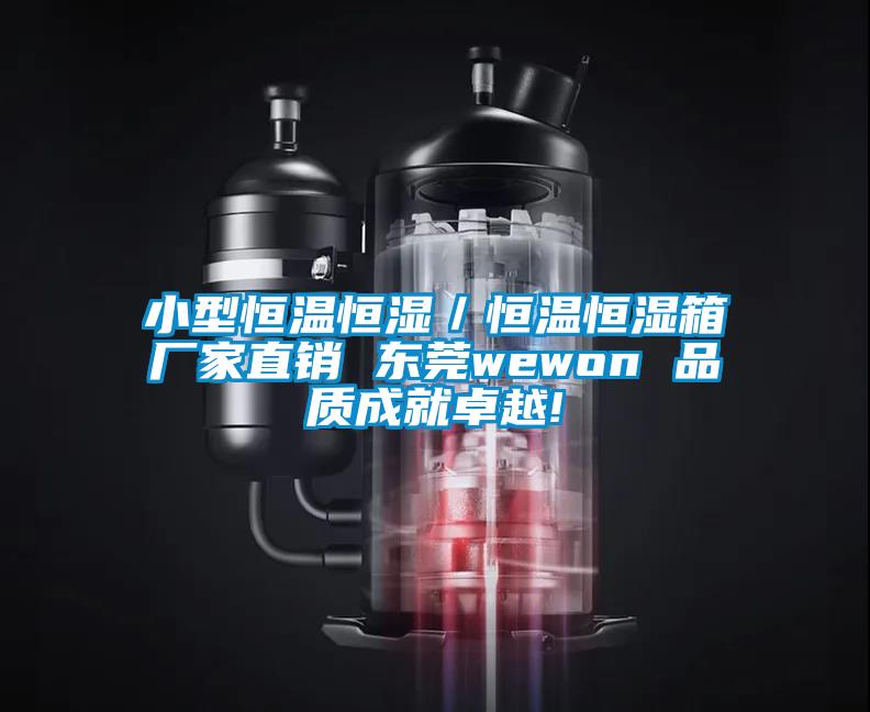 小型恒溫恒濕/恒溫恒濕箱廠家直銷 東莞wewon 品質成就卓越!