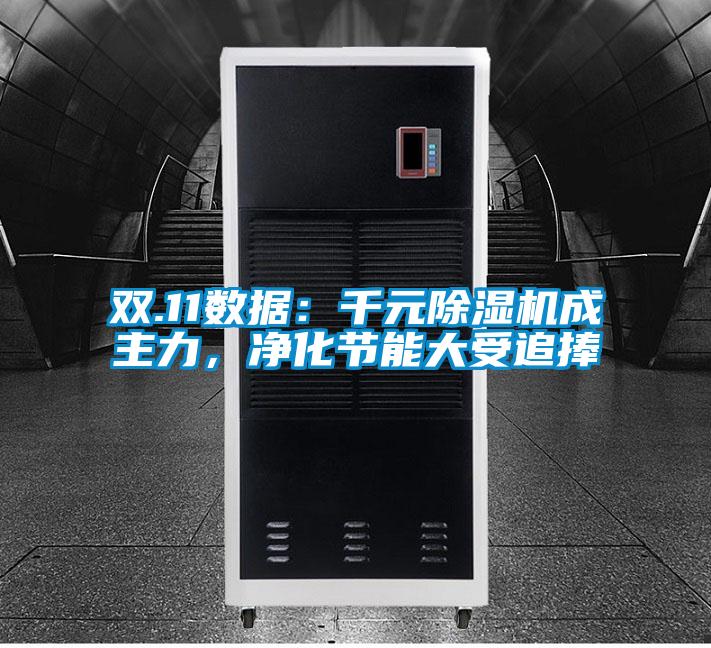 雙.11數(shù)據(jù):千元除濕機成主力,凈化節(jié)能大受追捧