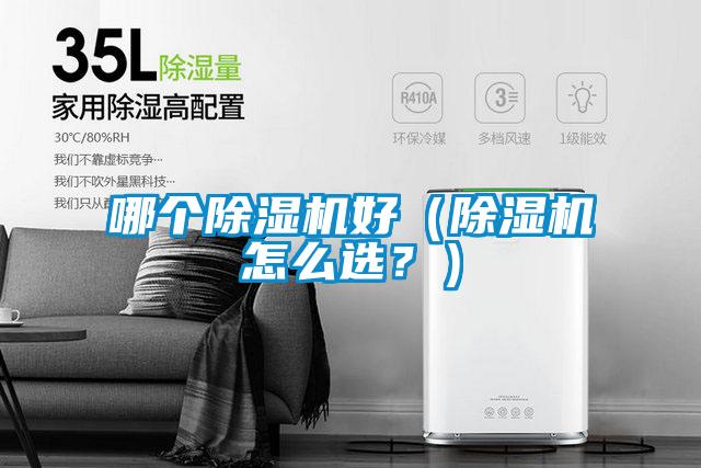 哪個除濕機好(除濕機怎么選?)