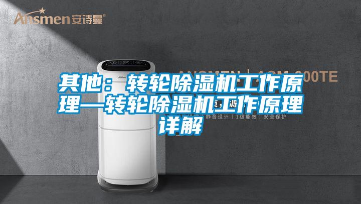 其他:轉輪除濕機工作原理—轉輪除濕機工作原理詳解