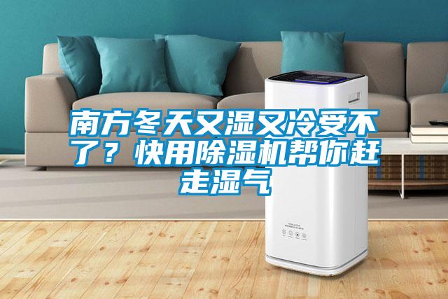 南方冬天又濕又冷受不了?快用除濕機幫你趕走濕氣