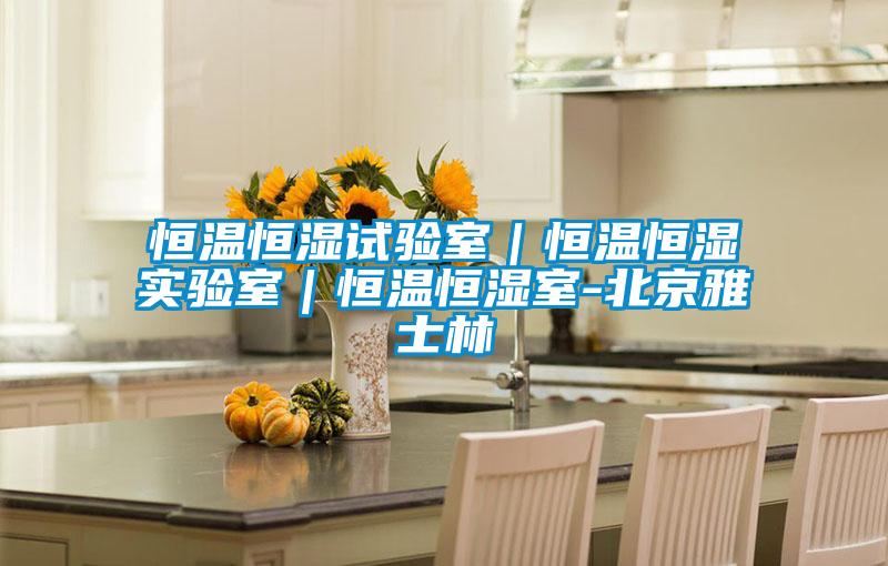 恒溫恒濕試驗(yàn)室|恒溫恒濕實(shí)驗(yàn)室|恒溫恒濕室-北京雅士林