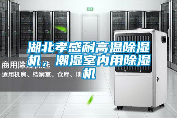 湖北孝感耐高溫除濕機，潮濕室內用除濕機
