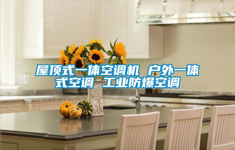 屋頂式一體空調機 戶外一體式空調 工業防爆空調