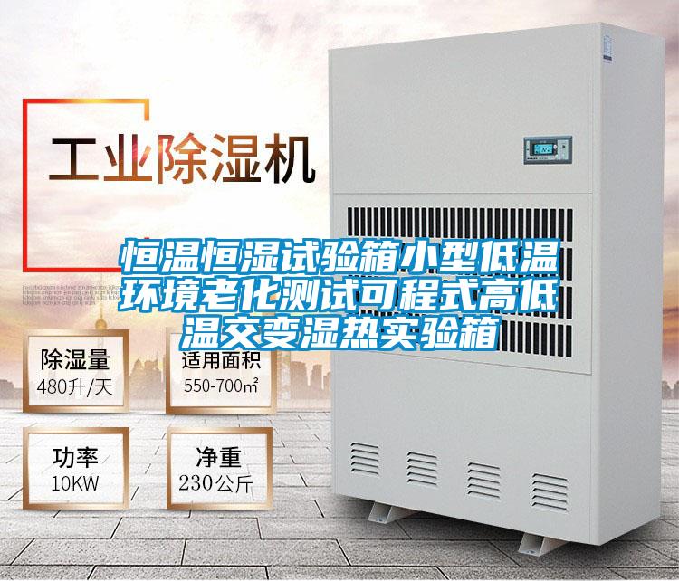 恒溫恒濕試驗箱小型低溫環境老化測試可程式高低溫交變濕熱實驗箱