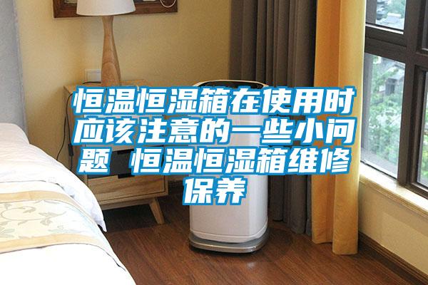 恒溫恒濕箱在使用時應該注意的一些小問題 恒溫恒濕箱維修保養(yǎng)