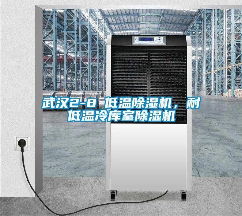 武漢2-8℃低溫除濕機，耐低溫冷庫室除濕機
