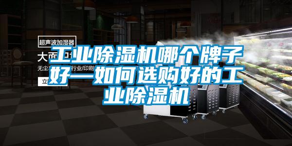 工業除濕機哪個牌子好—如何選購好的工業除濕機