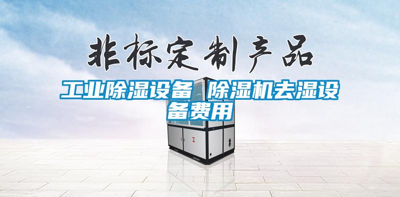 工業(yè)除濕設(shè)備 除濕機去濕設(shè)備費用