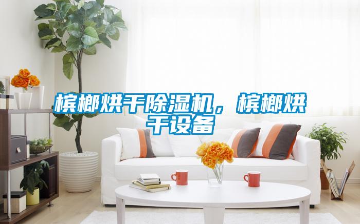 檳榔烘干除濕機，檳榔烘干設(shè)備