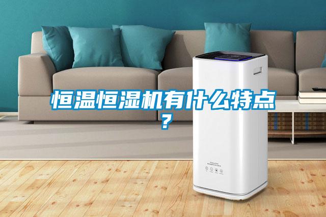 恒溫恒濕機(jī)有什么特點(diǎn)？