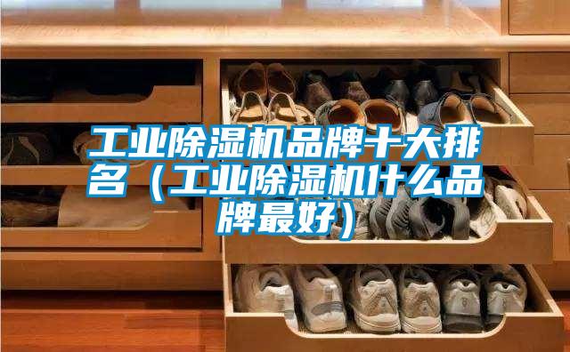 工業除濕機品牌十大排名（工業除濕機什么品牌最好）