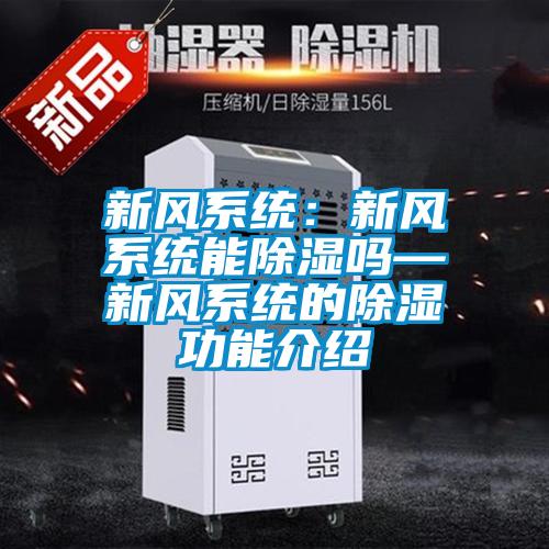 新風(fēng)系統(tǒng):新風(fēng)系統(tǒng)能除濕嗎—新風(fēng)系統(tǒng)的除濕功能介紹