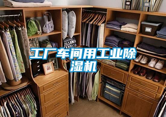 工廠車間用工業除濕機