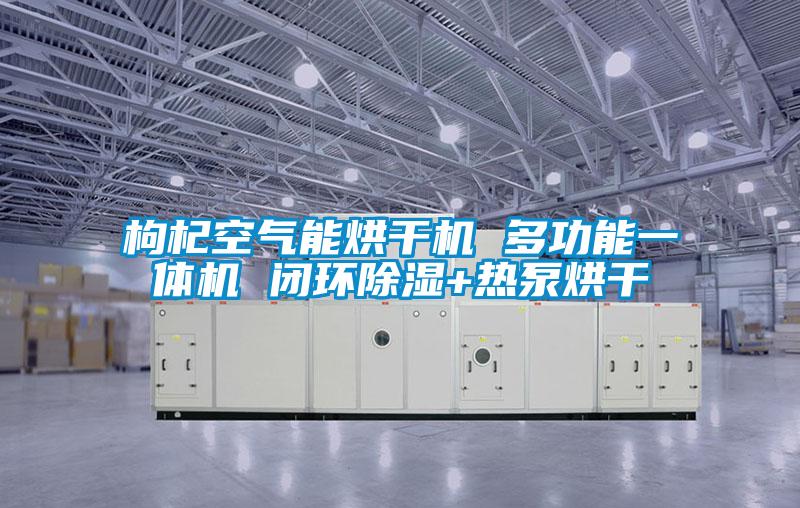 枸杞空氣能烘干機(jī) 多功能一體機(jī) 閉環(huán)除濕+熱泵烘干