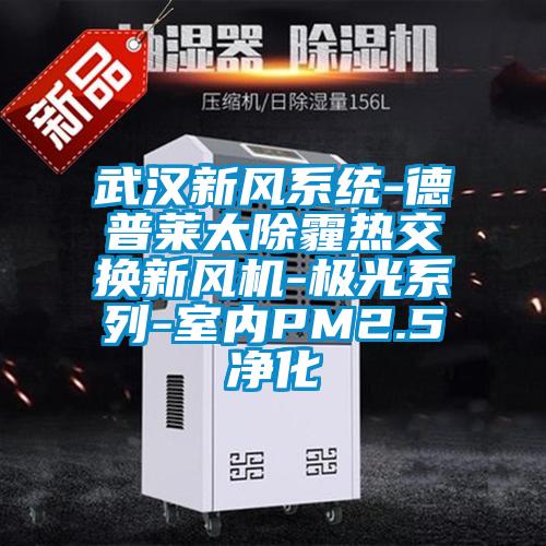 武漢新風系統-德普萊太除霾熱交換新風機-極光系列-室內PM2.5凈化