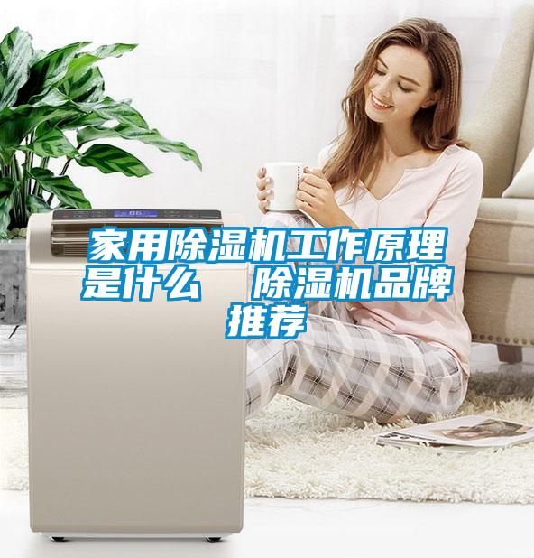 家用除濕機(jī)工作原理是什么 除濕機(jī)品牌推薦