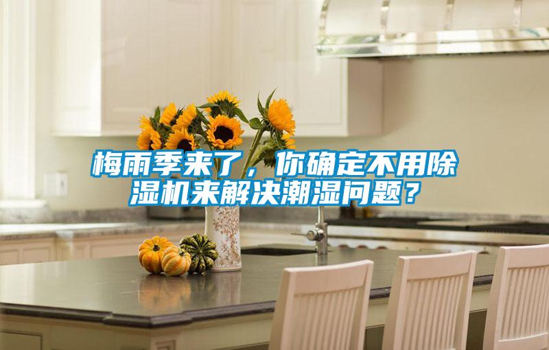 梅雨季來了,你確定不用除濕機來解決潮濕問題?