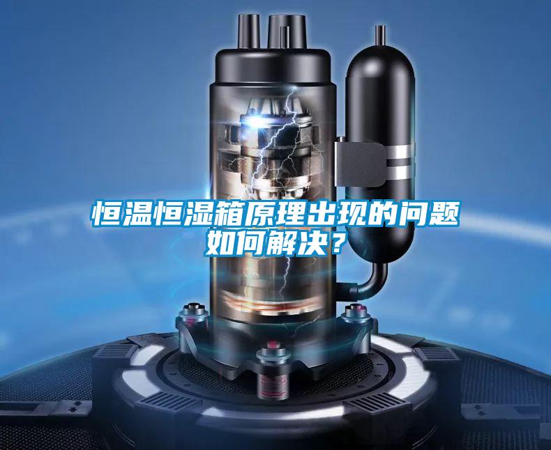 恒溫恒濕箱原理出現的問題如何解決？