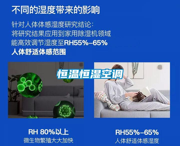 恒溫恒濕空調