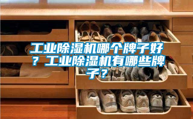 工業除濕機哪個牌子好?工業除濕機有哪些牌子?