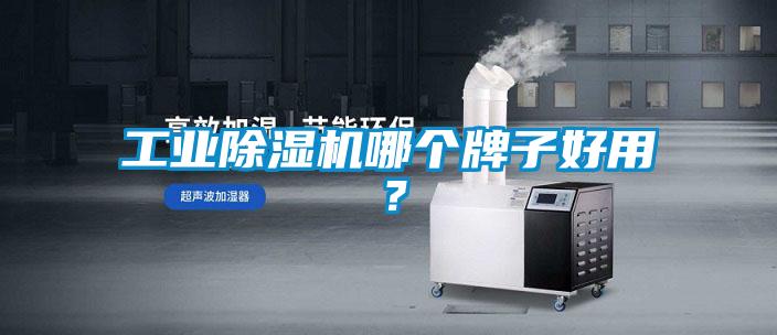 工業除濕機哪個牌子好用？