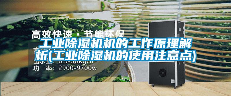 工業除濕機機的工作原理解析(工業除濕機的使用注意點)