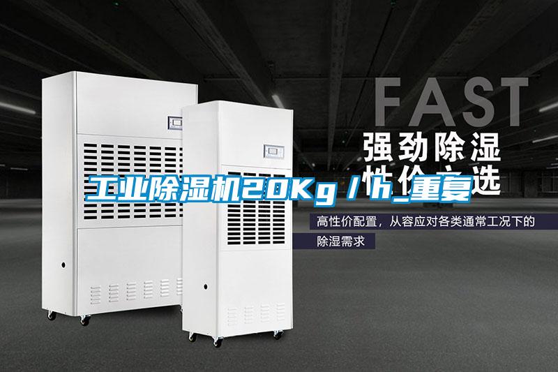 工業除濕機20Kg／h_重復