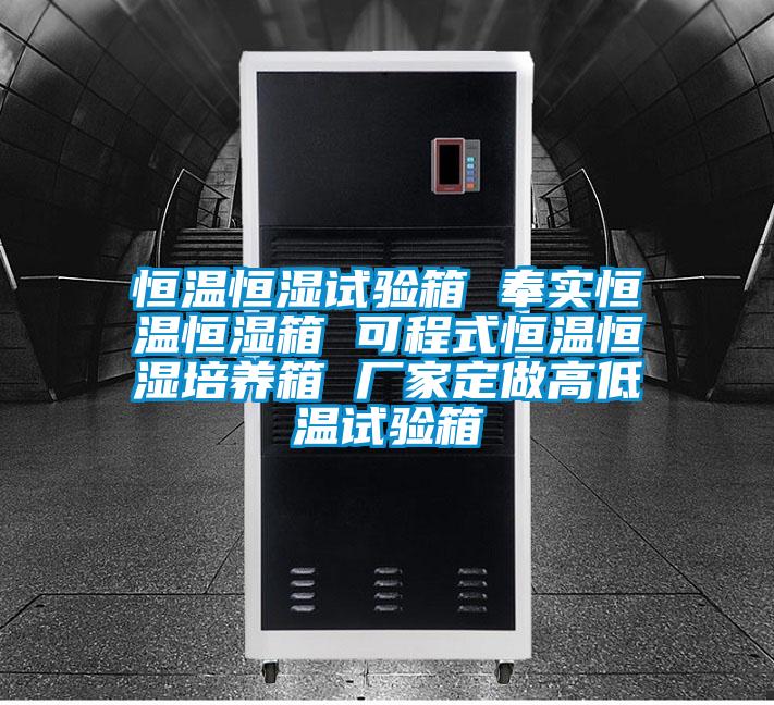恒溫恒濕試驗箱 奉實恒溫恒濕箱 可程式恒溫恒濕培養箱 廠家定做高低溫試驗箱
