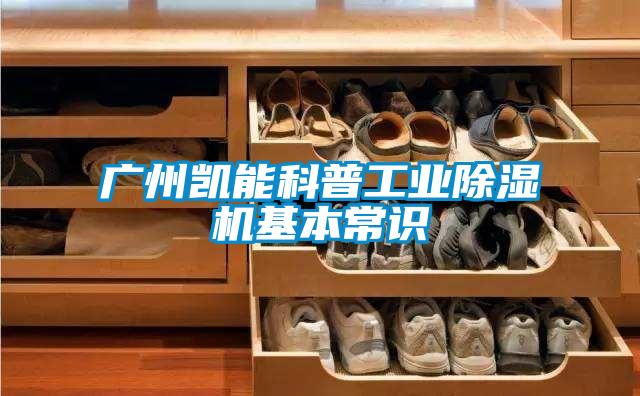 廣州凱能科普工業除濕機基本常識